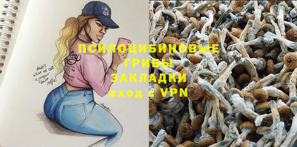 мдпв Гусь-Хрустальный