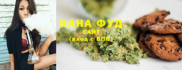мдпв Гусь-Хрустальный