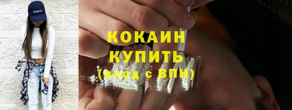 тгк Гусев