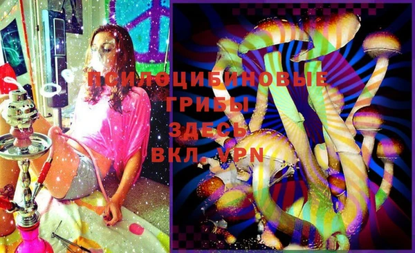 тгк Гусев