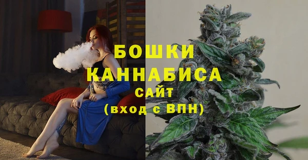 тгк Гусев