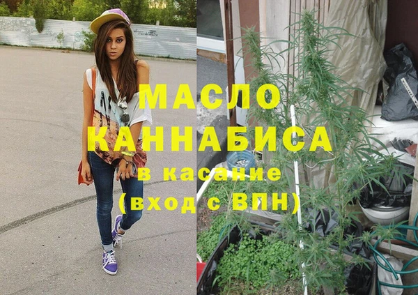 мдпв Гусь-Хрустальный