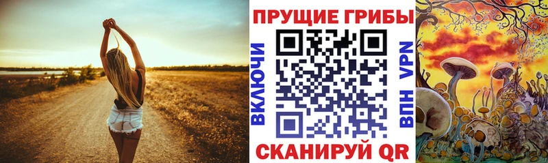 Псилоцибиновые грибы мухоморы  Купить где  Прохладный 
