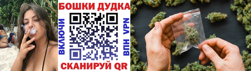 Купить закладки Прохладный Канабис планчик